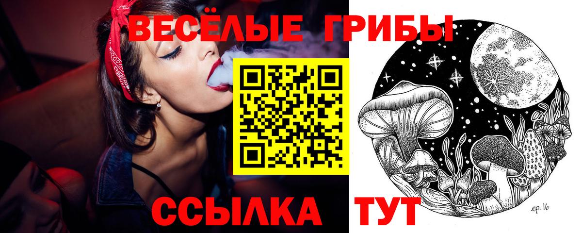 Псилоцибиновые грибы ЛСД Муром